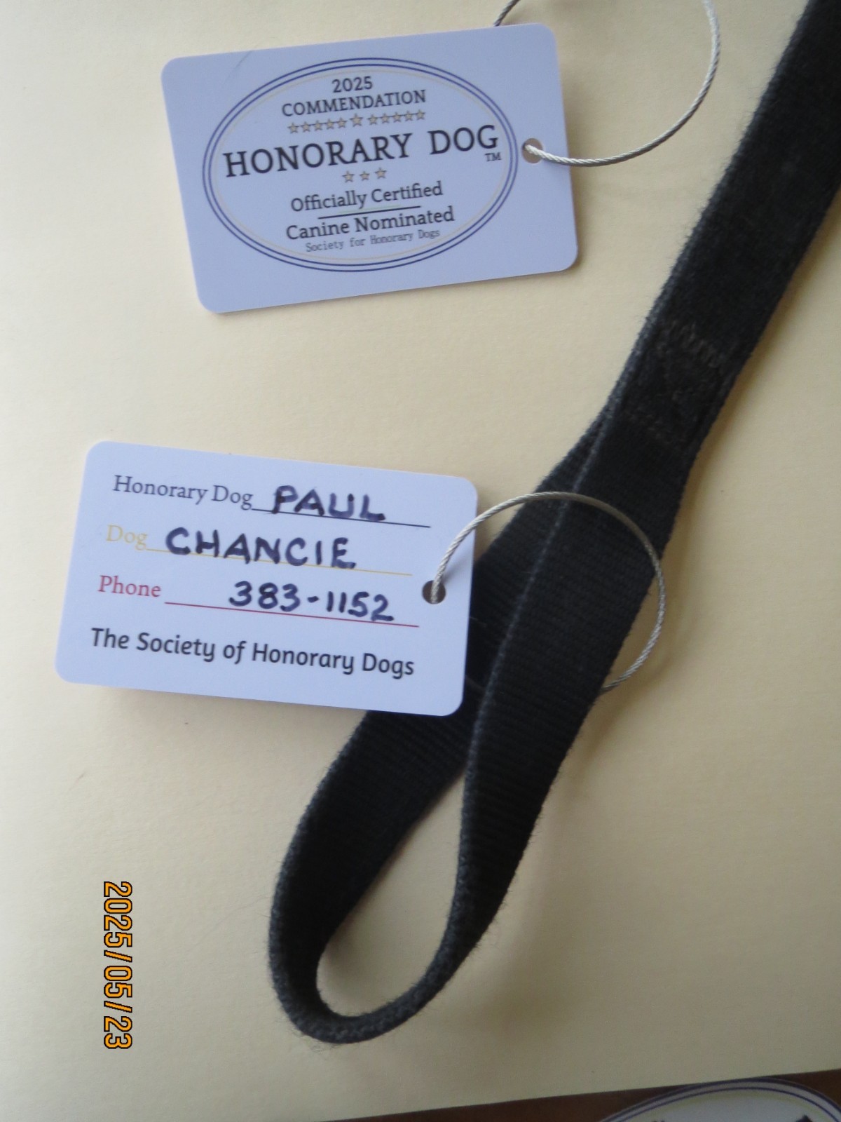 LOVE DOGS MORE THAN PEOPLE?  Be an Honorary Dog.  PIN w/ FREE LEASH TAG -- &MORE