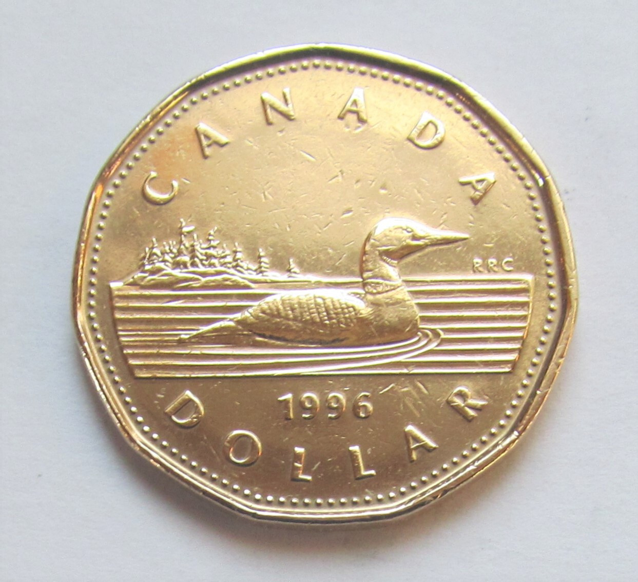1996 CANADA Young Queen Elizabeth 11 1 DOLLAR LOONIE  - combined shipping