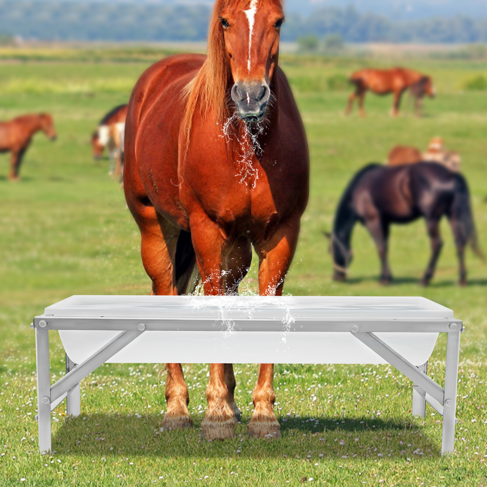 35L Livestock Rectangular Feed Trough Feed Trough Feeder w/Stand Floor Standing