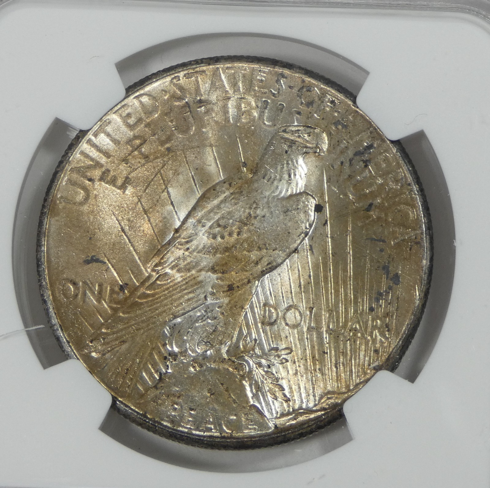 1926 Peace Dollar CERTIFIED NGC MS 64 Silver Dollar