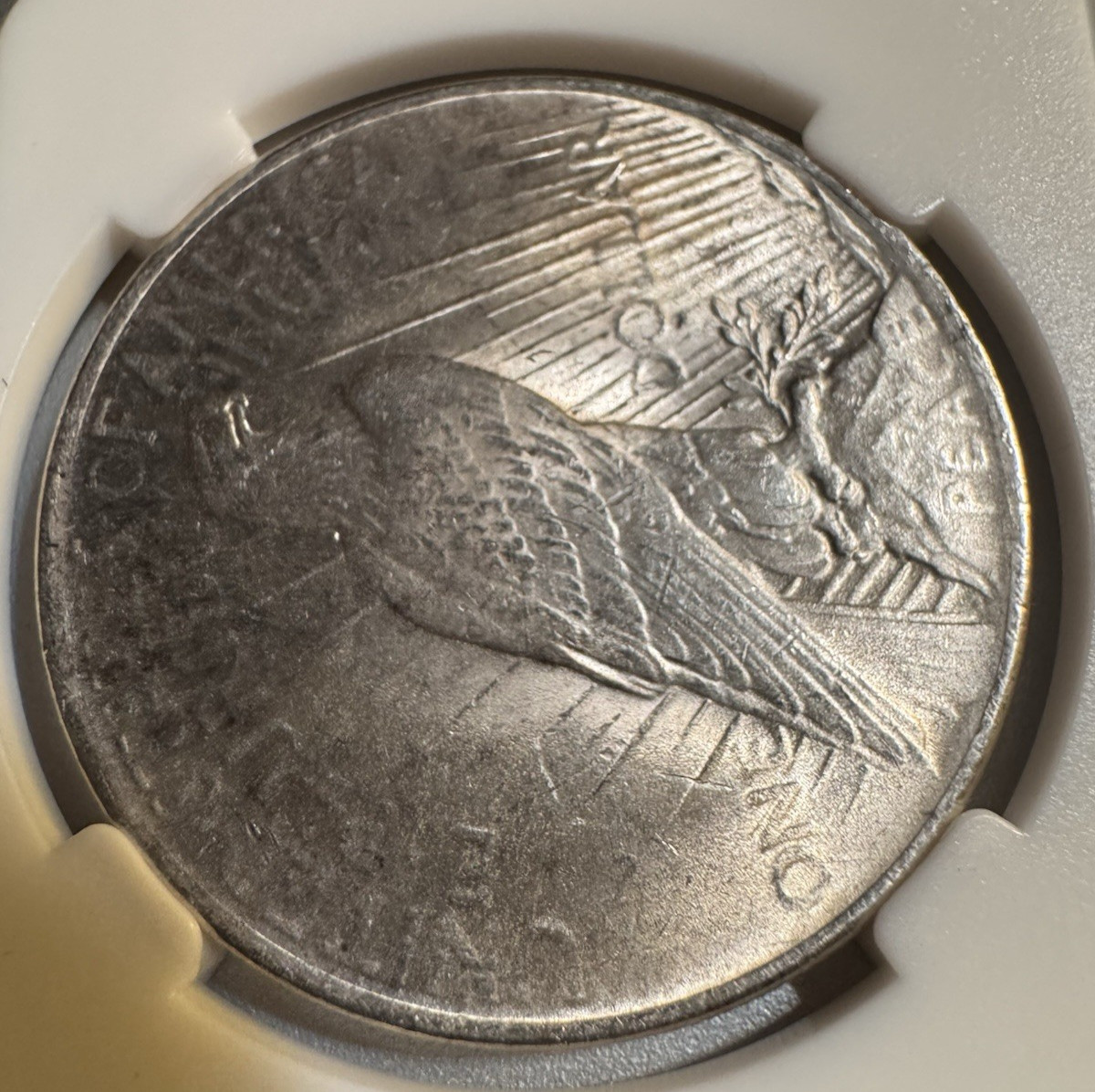1924‑P Peace Dollar MS62–MS64 Range • Bright Luster • 26.702g