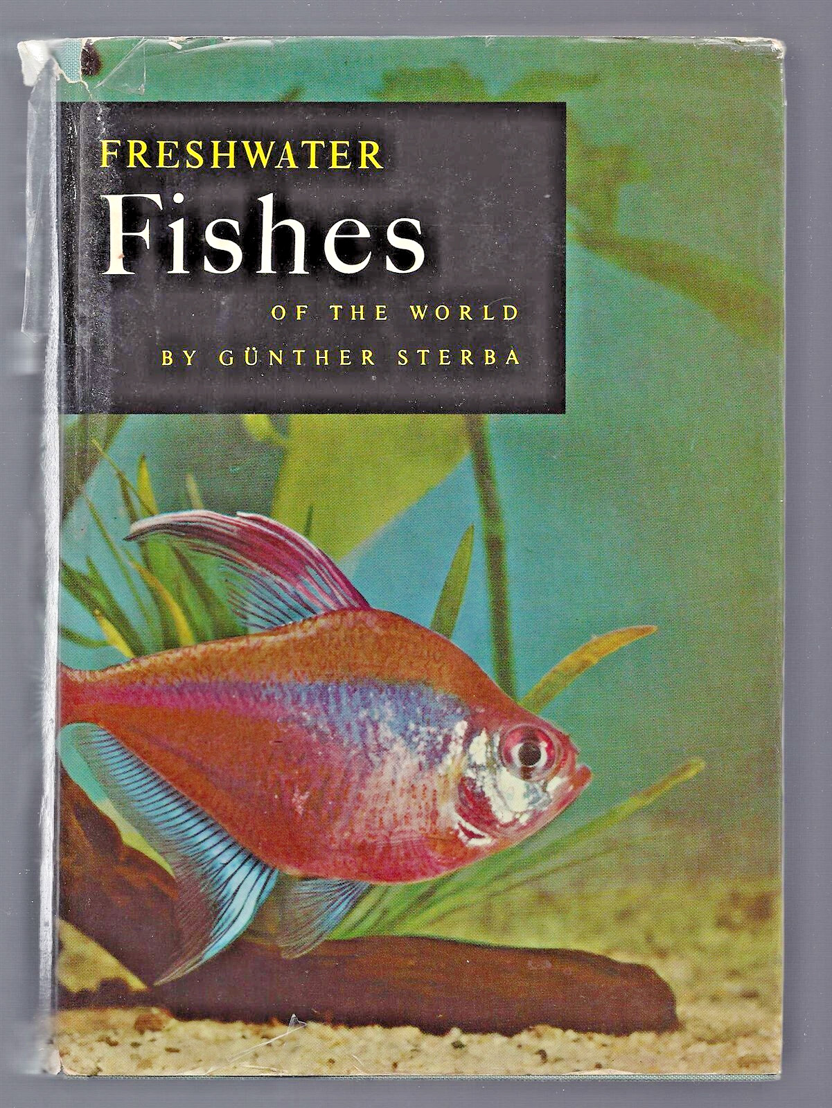 Original Freshwater Fishes of the World by Gunther Sterba 1962 Aquarium Bible