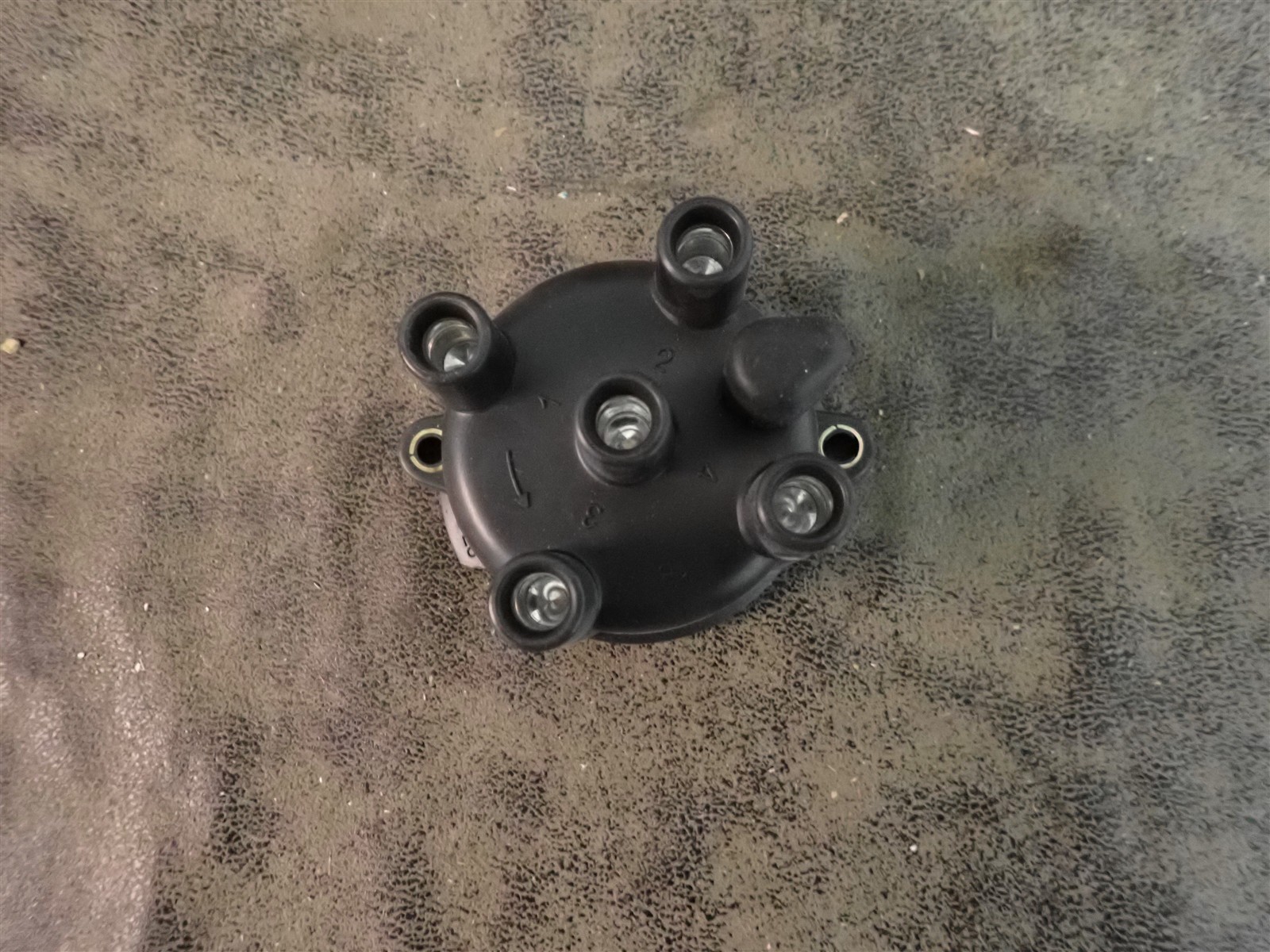 NEW WVE 5D1154 Distributor Cap (G216)