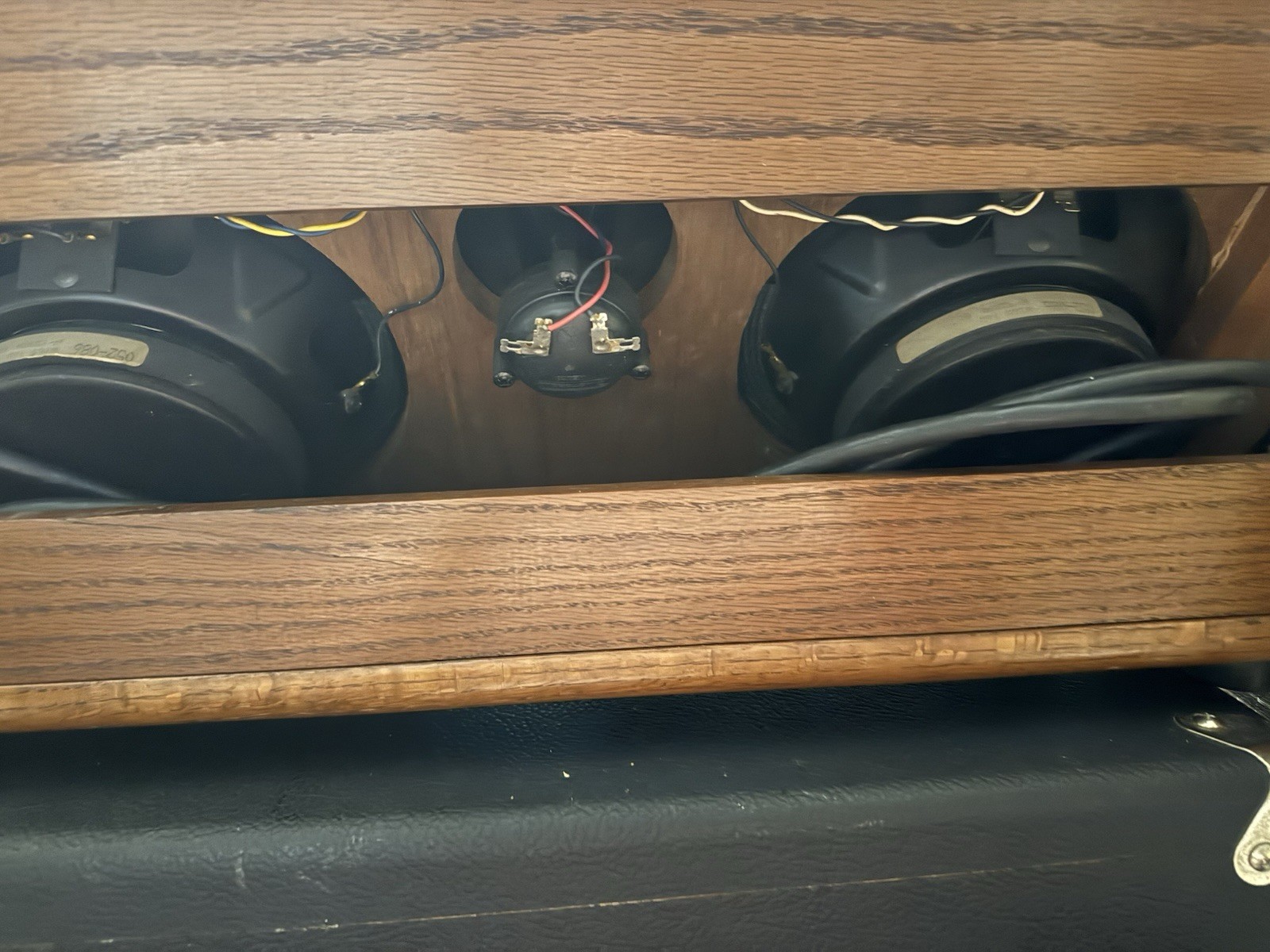 Rare Guild Tamarack Amplifier