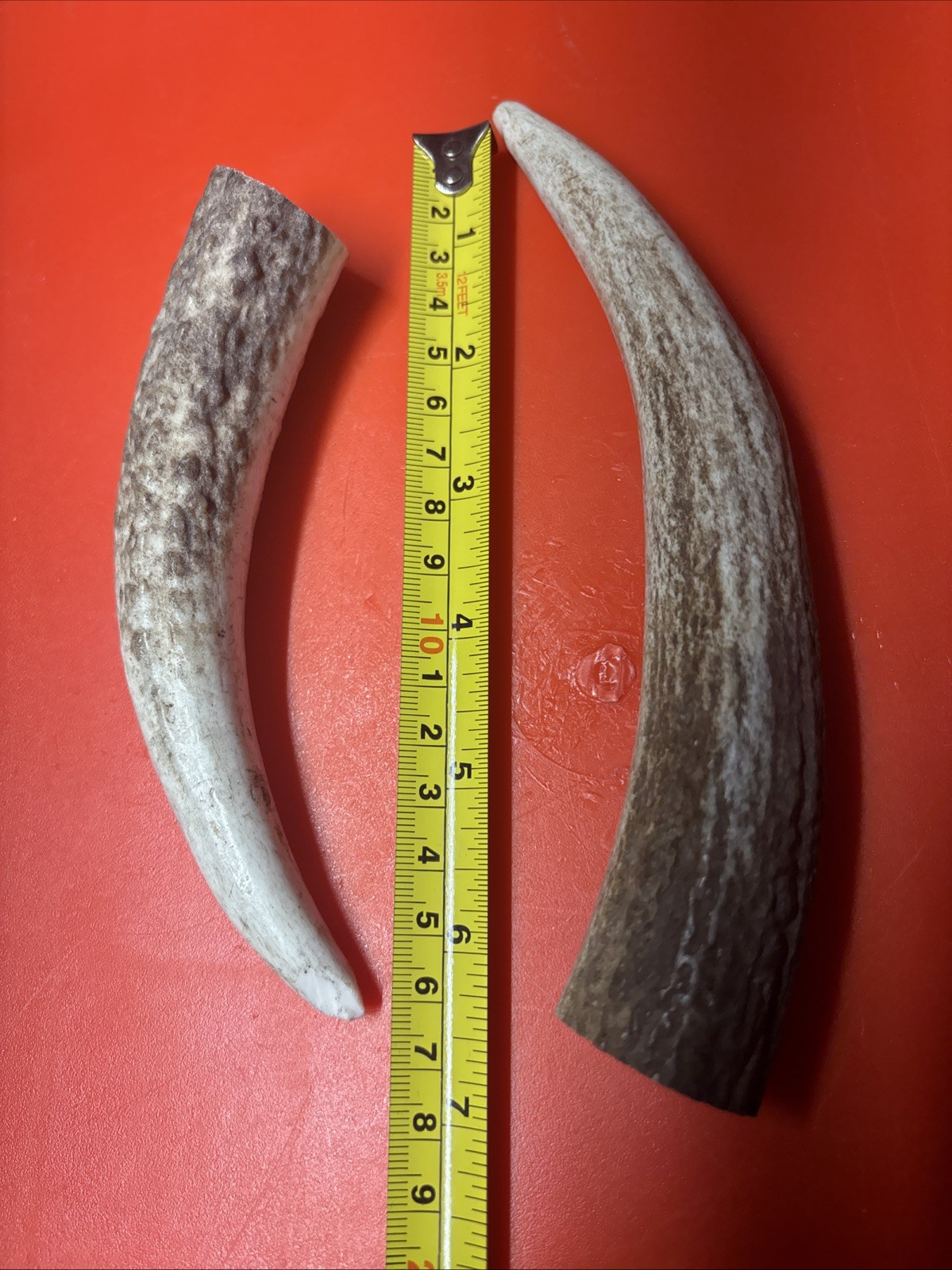 Lot-22044 Elk Antler for Custom Knives Handle Knife Making