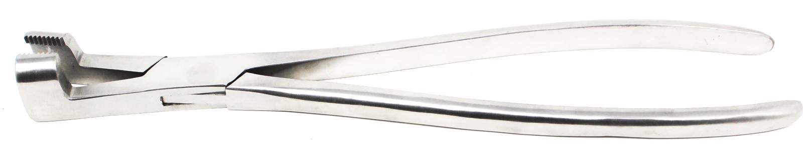 Horse Care Farrier Tool 14" Serrated Jaw Forcep Hand Crafted Equine 98472