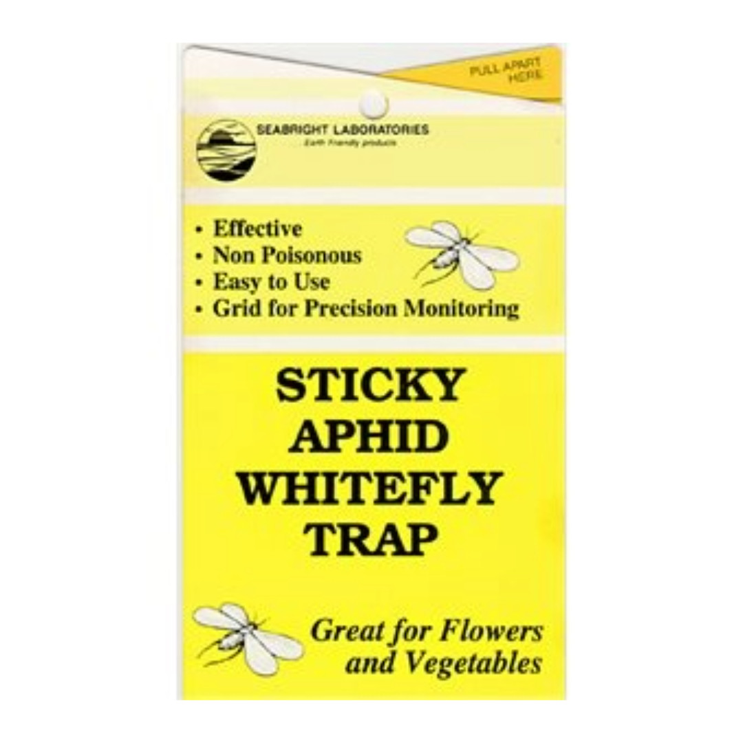 Yellow Sticky Whitefly Traps 5 Pack - white fly aphid fruit house plant insect