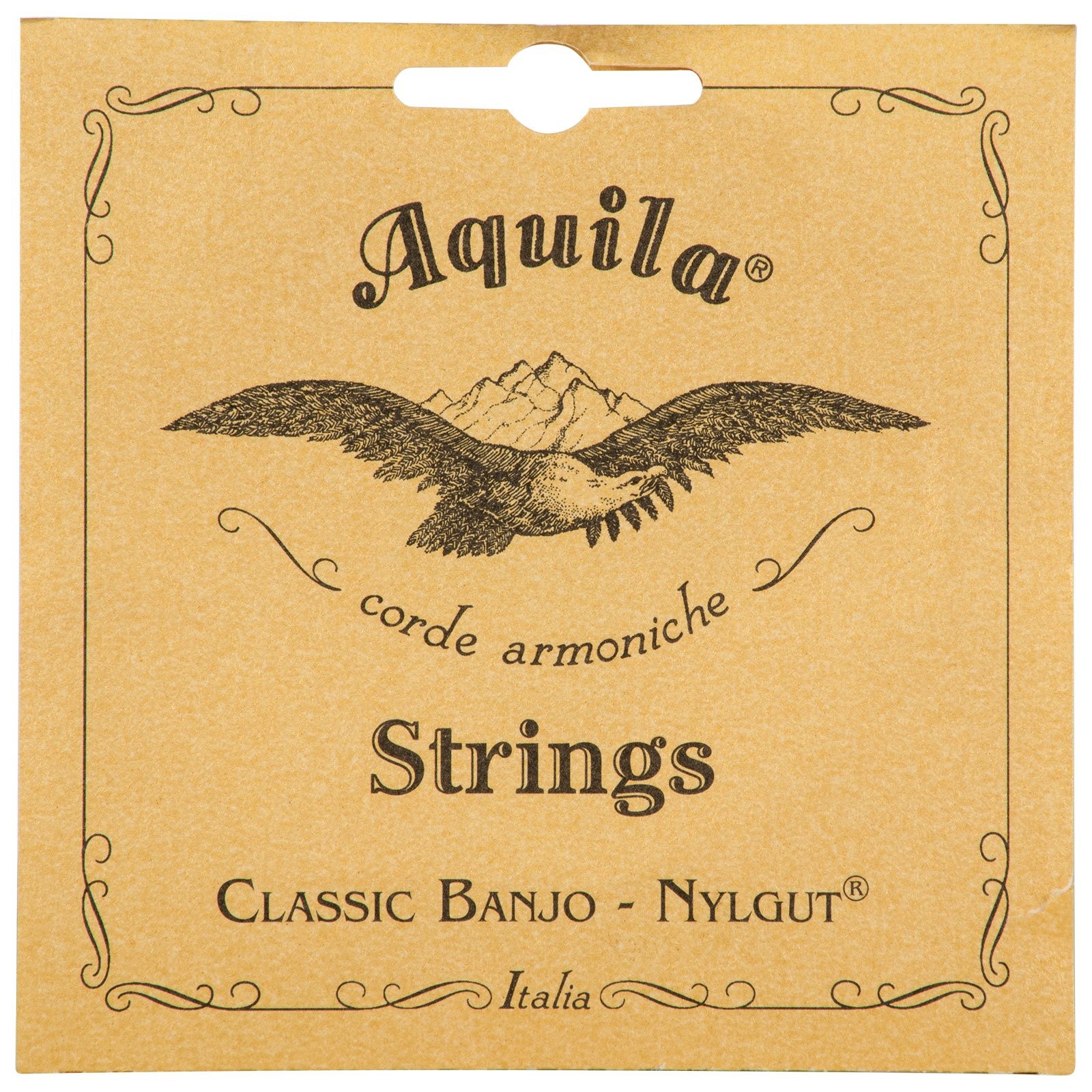 Aquila AQ-5B Banjo Strings – Medium Tension DBGDG, Set of One Size, Natural