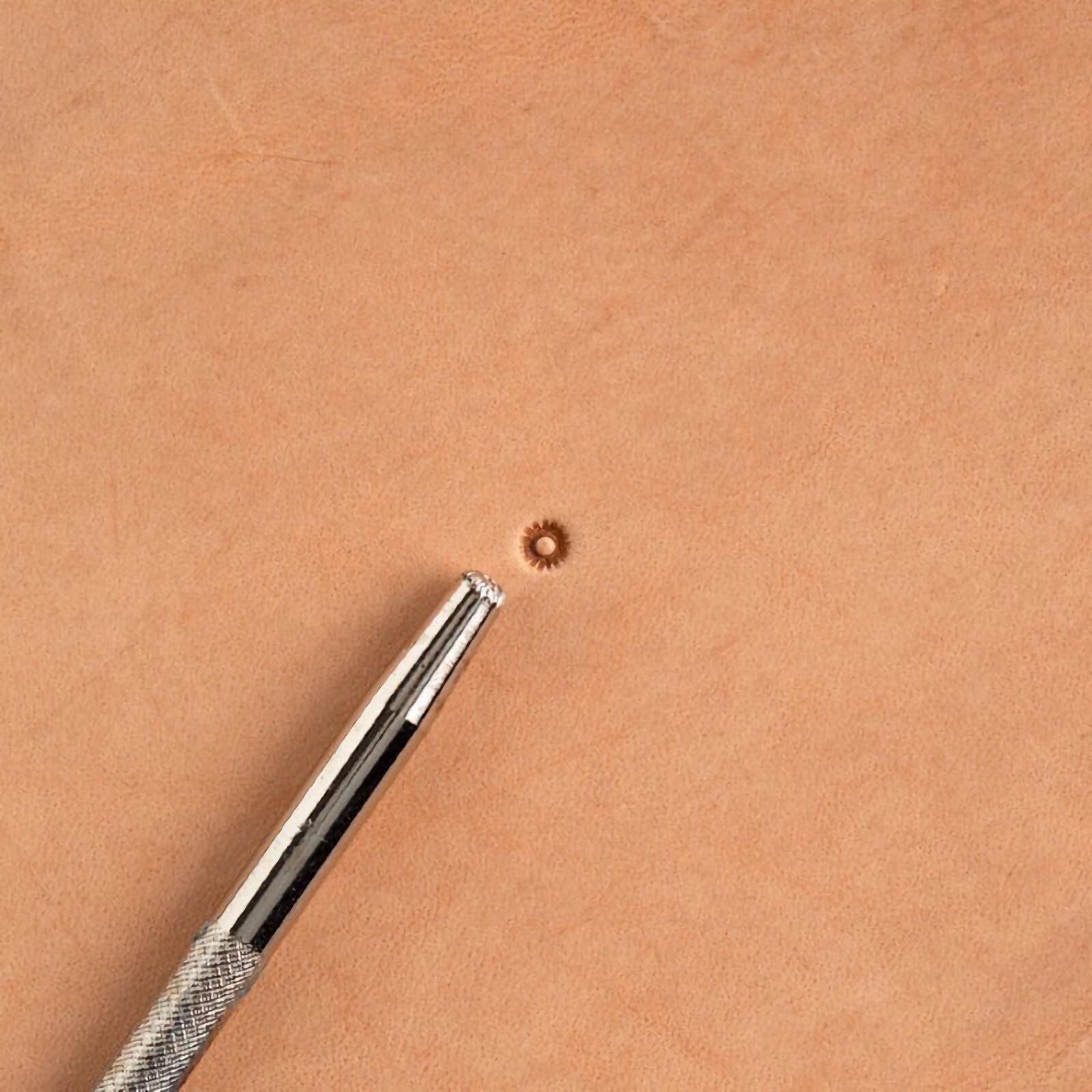 Craftool Seeder Stamp 6724-00 by Tandy Leather
