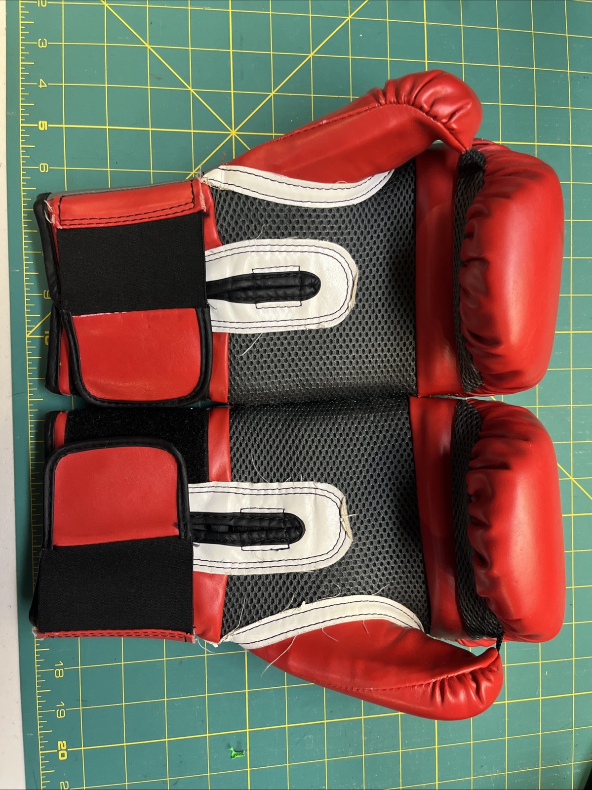 Everlast 1200013 12 oz. Sparring Gloves - Red