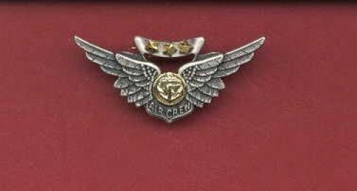 US Navy and Marine Corps USMC Combat Aircrew Wings Badge with gold stars