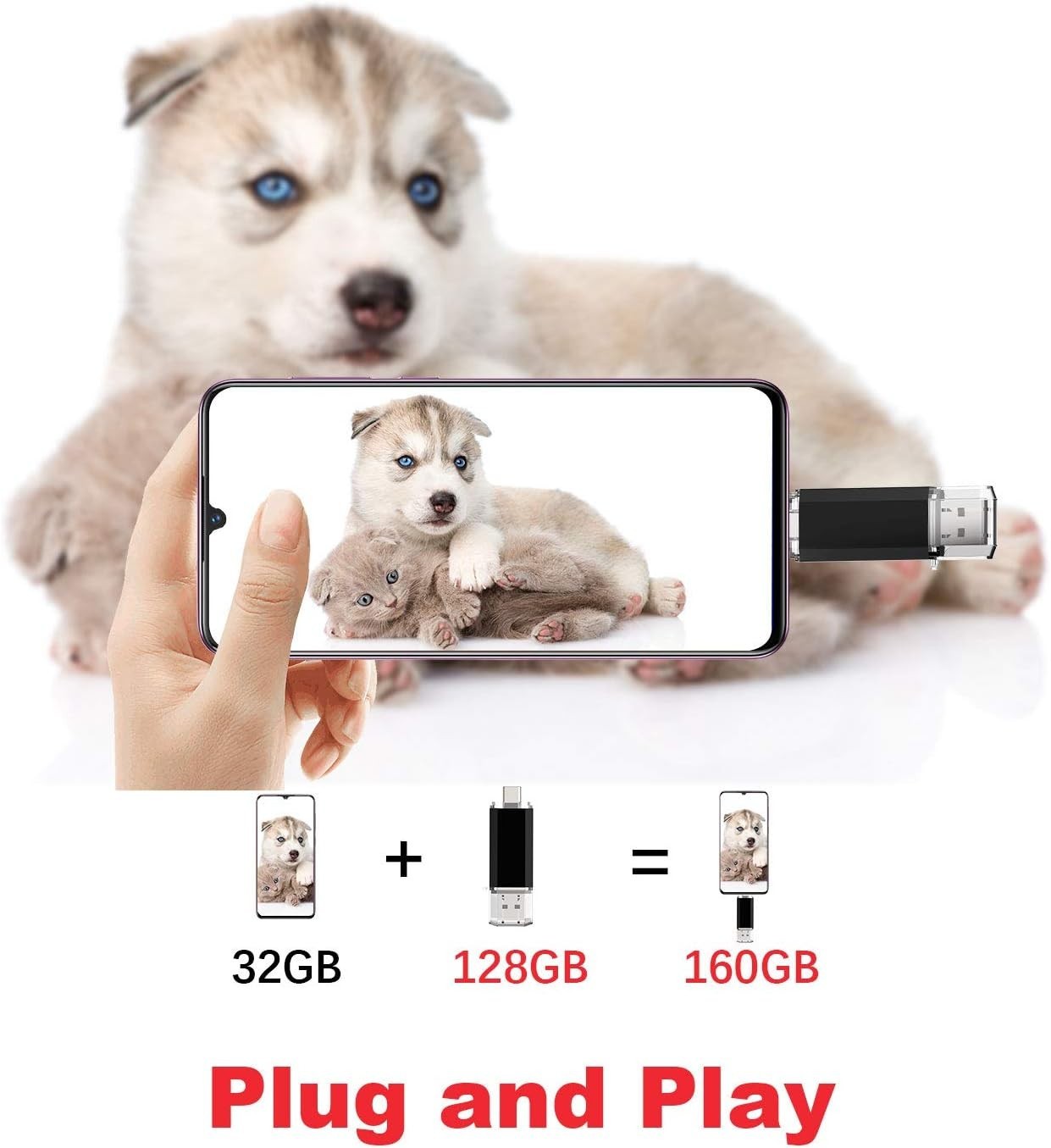 Temperature-Proof 128GB USB C Flash Drive & OTG Memory Stick for Quick Access