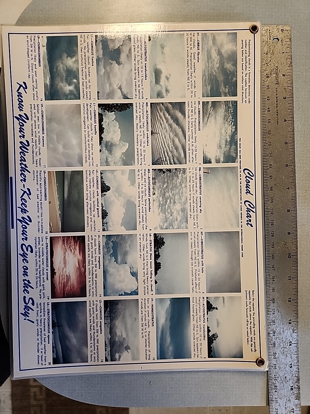 School Weather Cloud Identification Chart Laminated