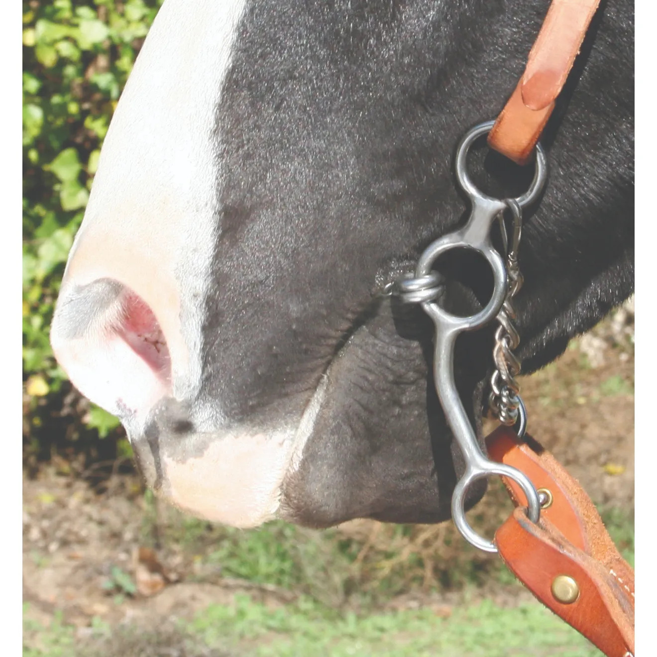 Professional's Choice Equine Performance Long Shank Lifesaver Bit - Copper Wire