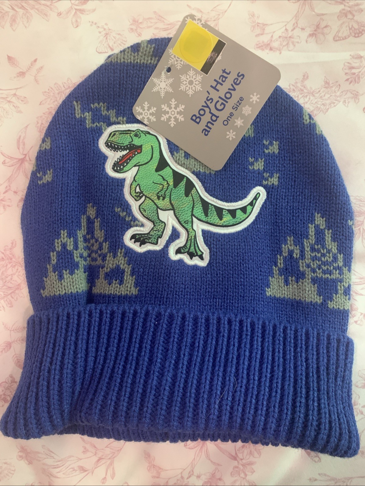 Boys Hat Glove One Size Dinosaur