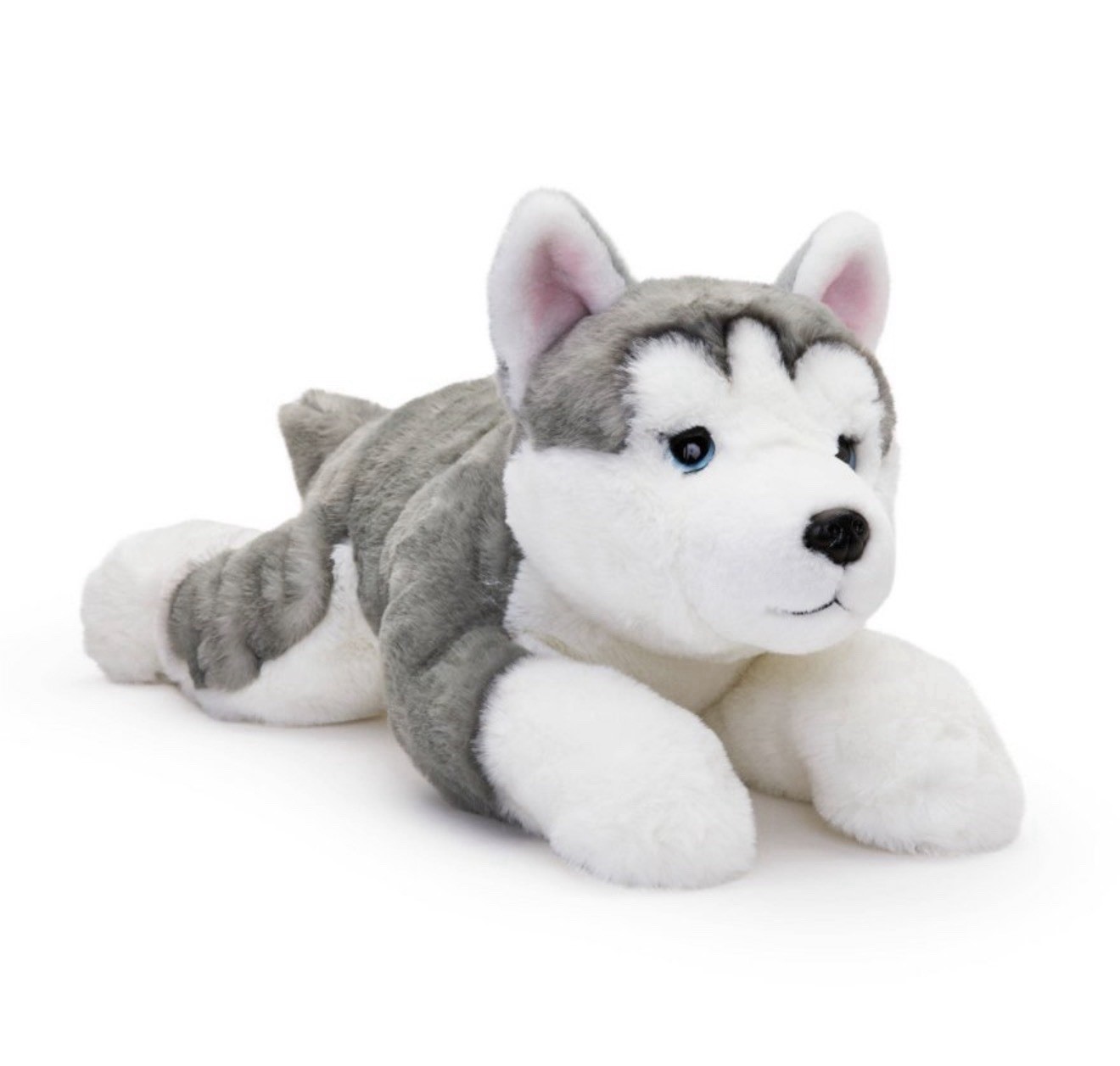 Box of 6 FOA Schwartz Adopt A Pet Husky Dogs Plush Stuffed Animal Tag
