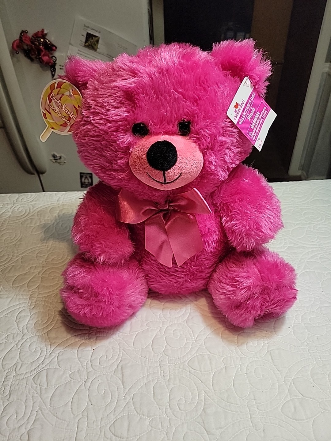 Way To Celebrate! Candy Scented Hot Pink Teddy Bear - Valentine's Plush NWT
