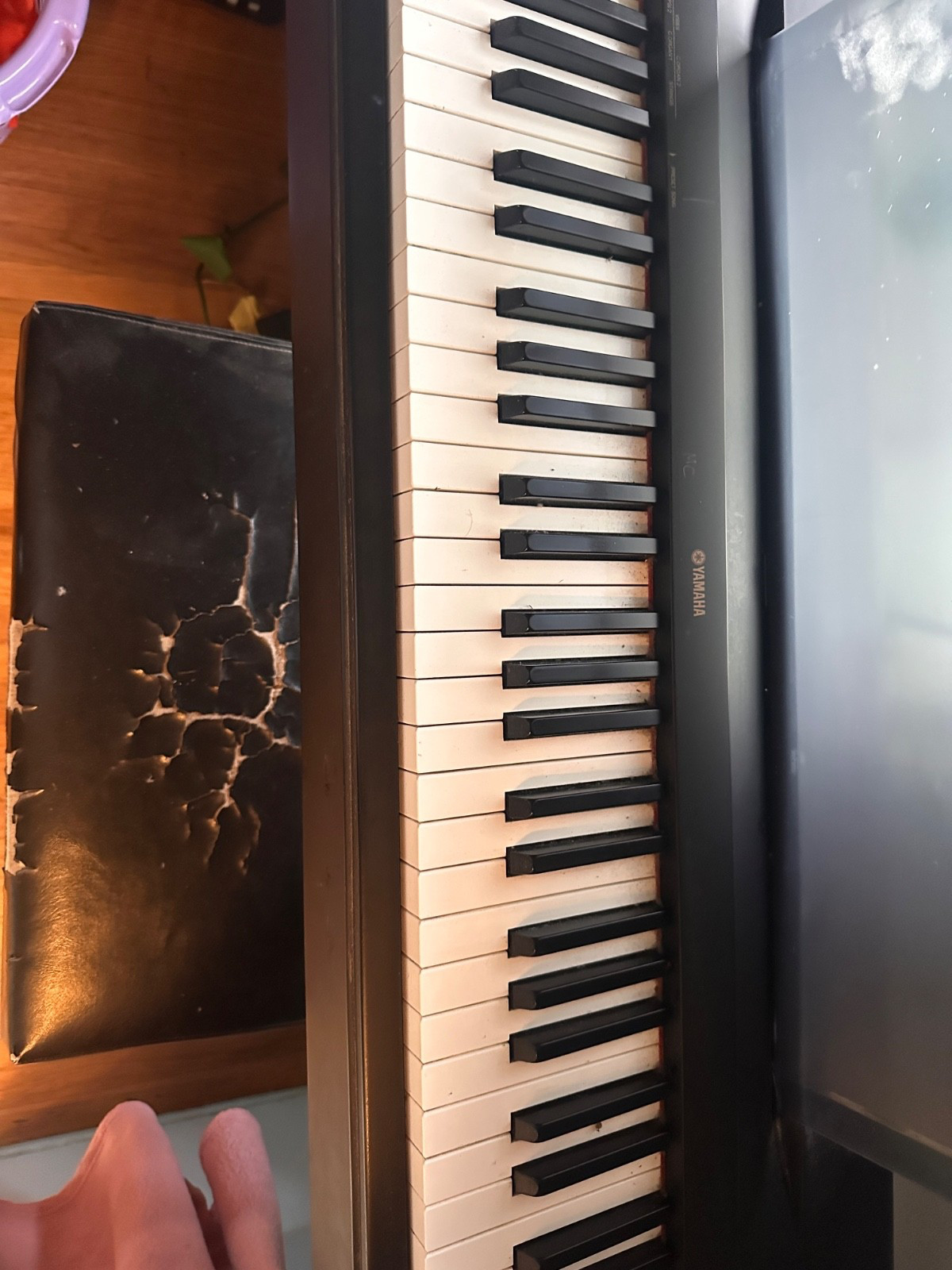 Yamaha P-60 88-Key Weighted-Action Digital Piano Black