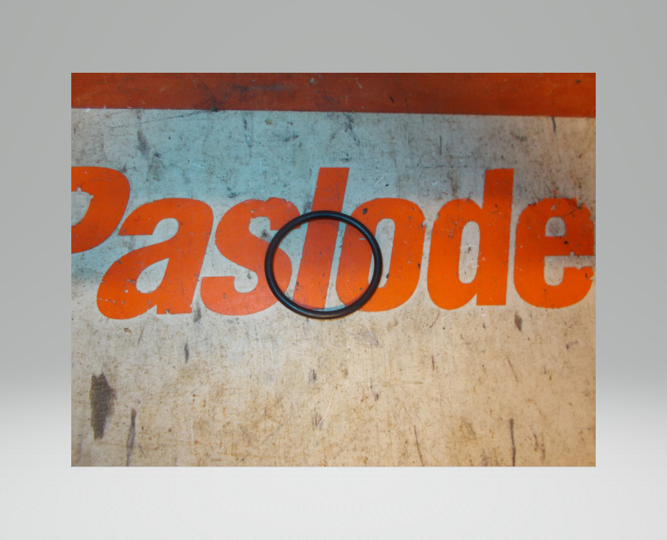 Paslode 092042 O RING (5000)
