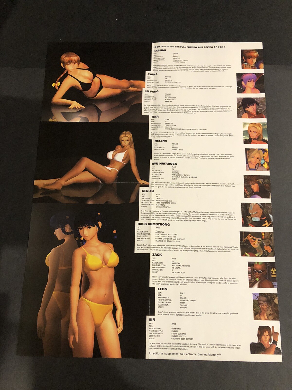 Dead Or Alive Strategy Guide Editorial Supplement