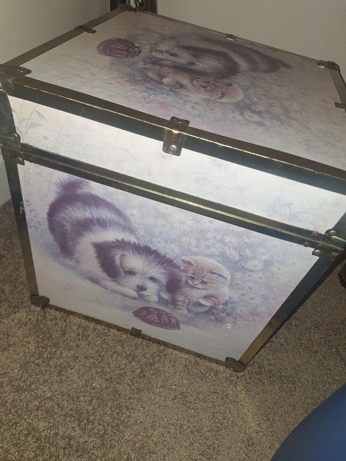 Antique Animal Print Trunk with Puppy & Kitten Artwork, Multicolor Wood Metal
