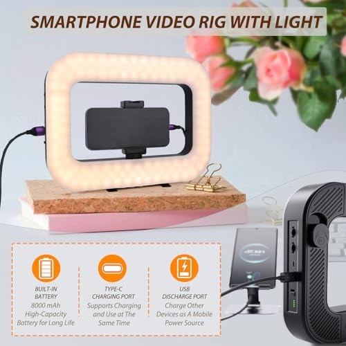 Smartphone Video Rig with Light, Handheld Ring Selfie Light Kit Mobile LED