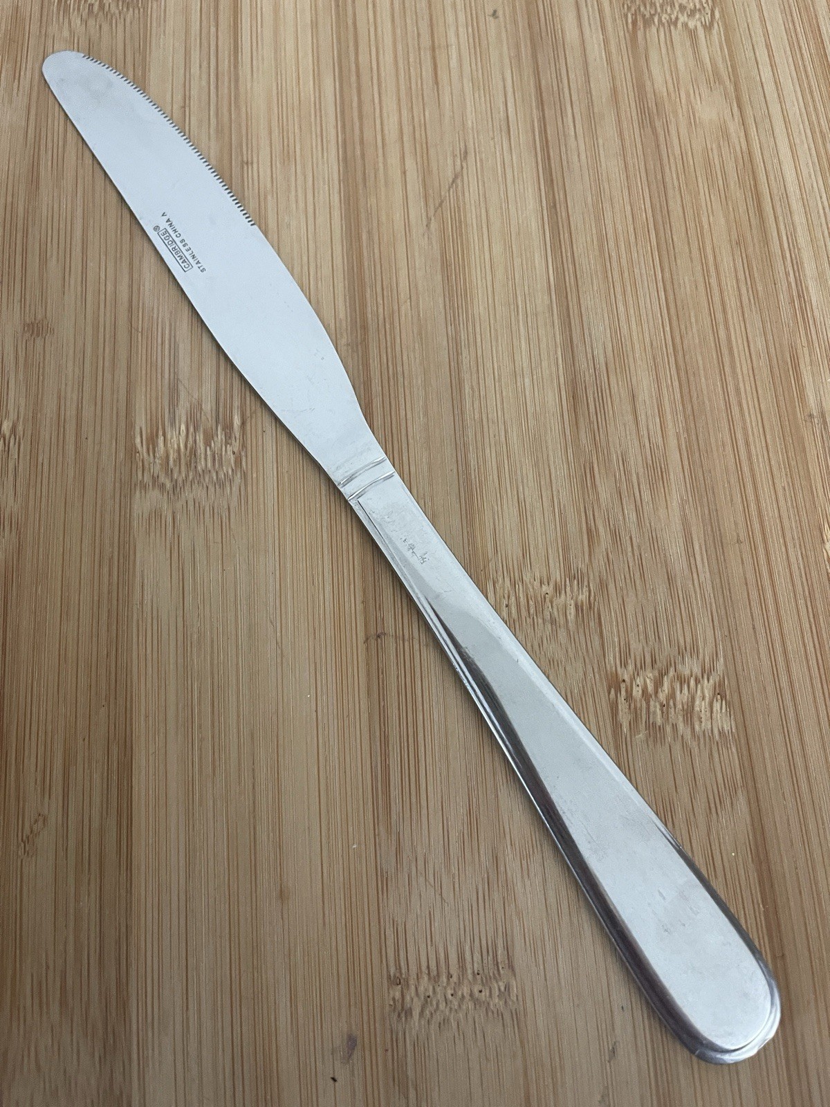 Cambridge ROSALIND Glossy Stainless Outlined Bands DINNER KNIFE 9 1/8"