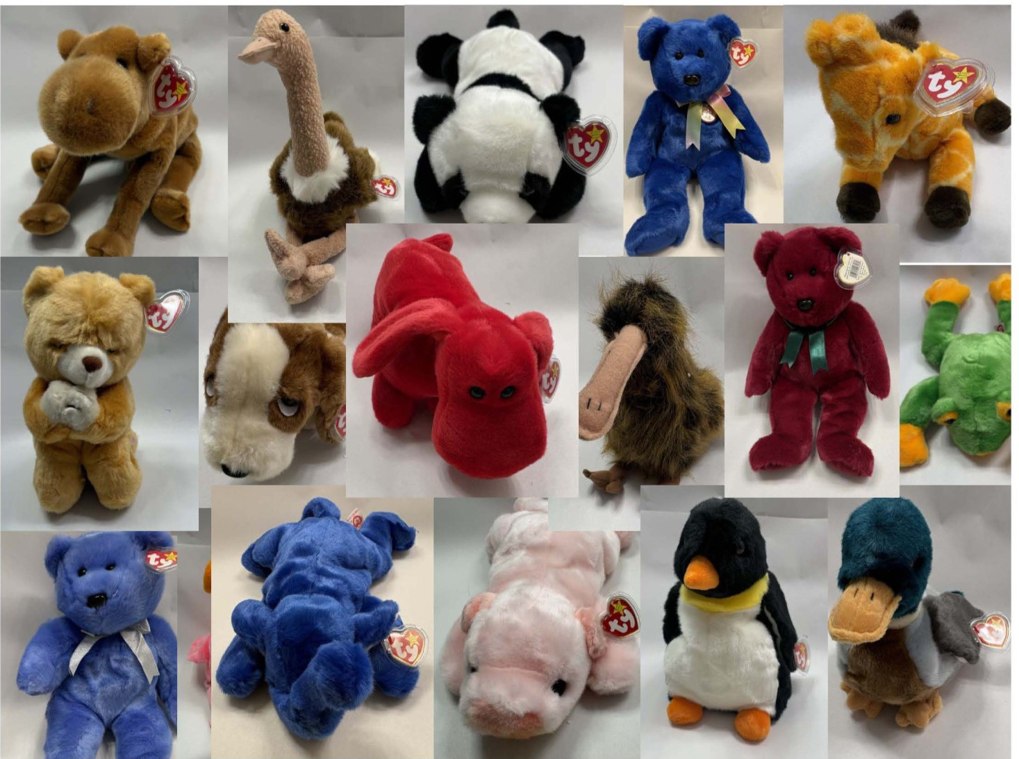 BEANIE BUDDIES 1st EDITION CLUBBY TEDDY HUMPHREY TRACKER Tag Protected - New
