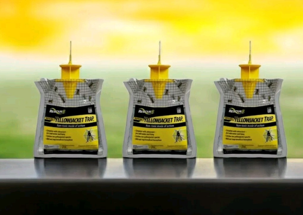 3 Rescue YELLOW JACKET TRAP Hornet Wasp Bee Hanging Non-Toxic YJTD-DB12-E