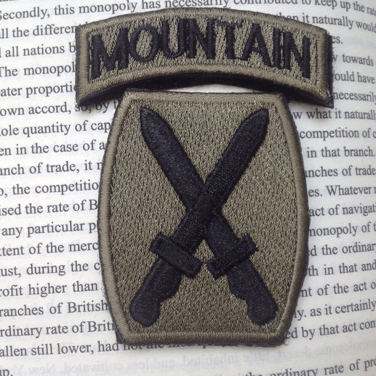 USA 10TH MOUNTAIN DIVISION U.S ARMY Embroidered Hook & Loop PATCH