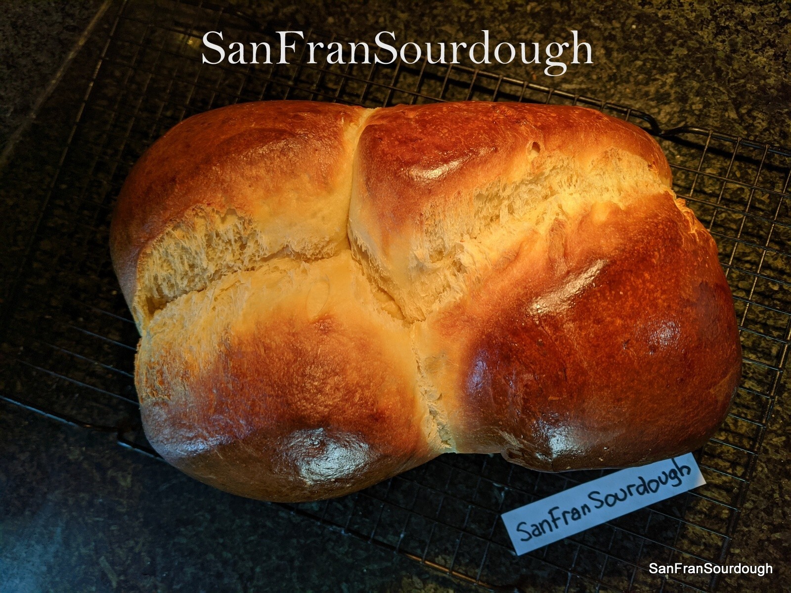 Active Dried Sourdough Starter San Francisco Yeast Bacteria baking bread
