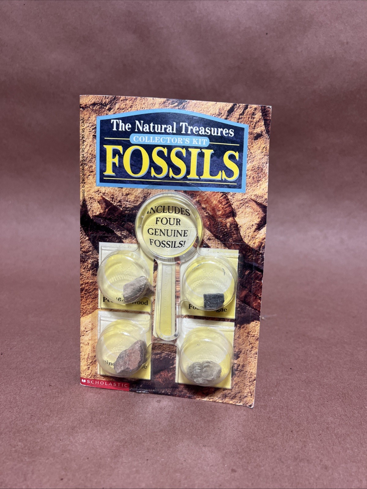 NATURAL TREASURES COLLECTOR KIT FOSSILS BOOK Gastropod Real Dinosaur Bone Algae