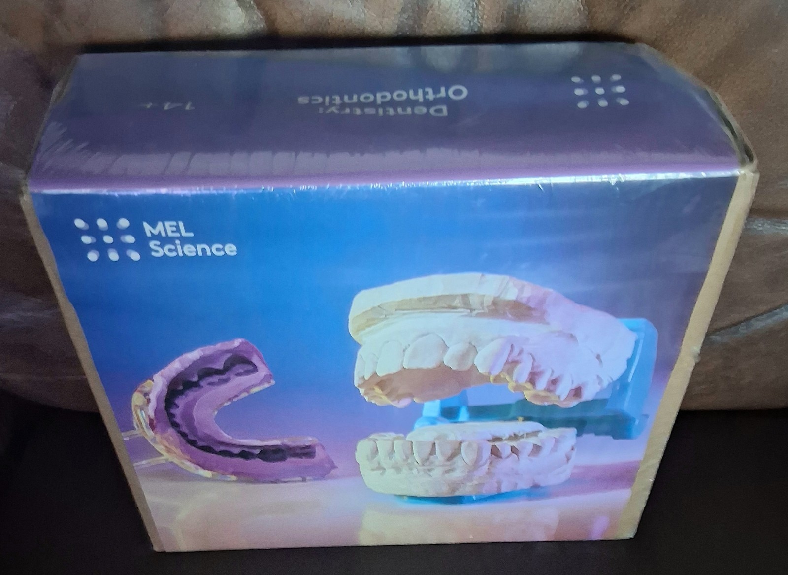 MEL SCIENCE Educational STEM Science Medical Med Dentistry Dental Mold Kit SEALE
