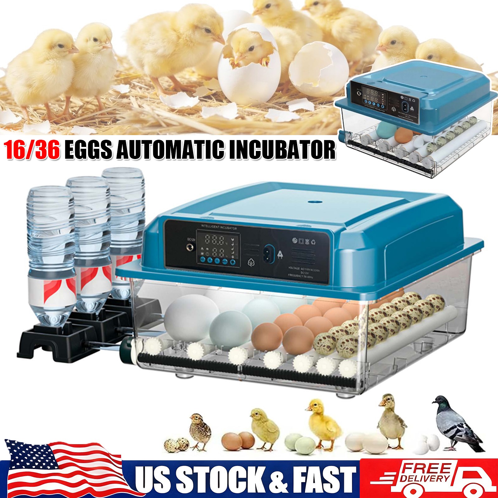 16/36 Eggs Incubator Digital Poultry Hatcher Machine w/Temp Control Auto Turning