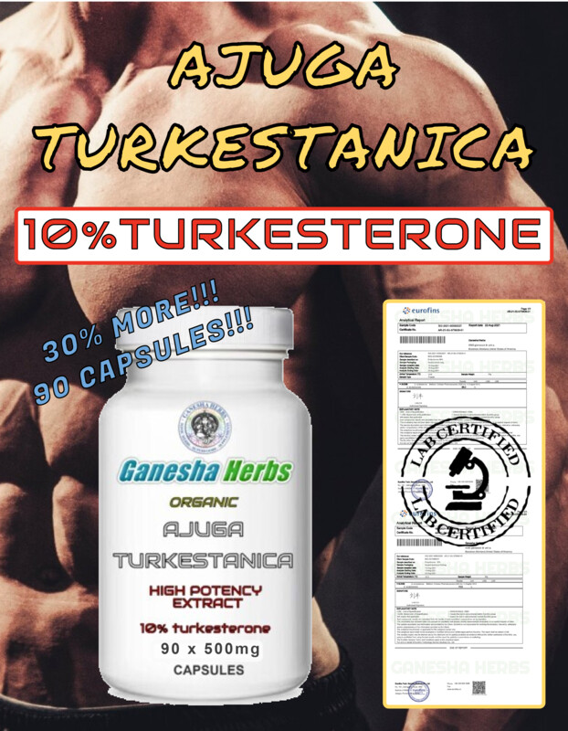 AJUGA TURKESTANICA High Potency  Extract 10%TURKESTERONE 90 Capsules!!