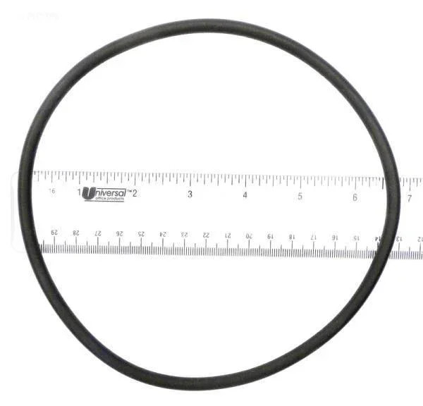 O-Ring, lid  (a)