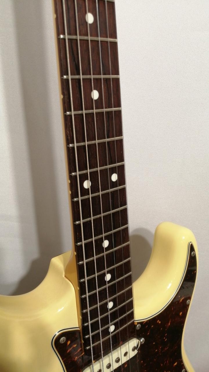 VANZANDT STV-R3 Electric Guitar
