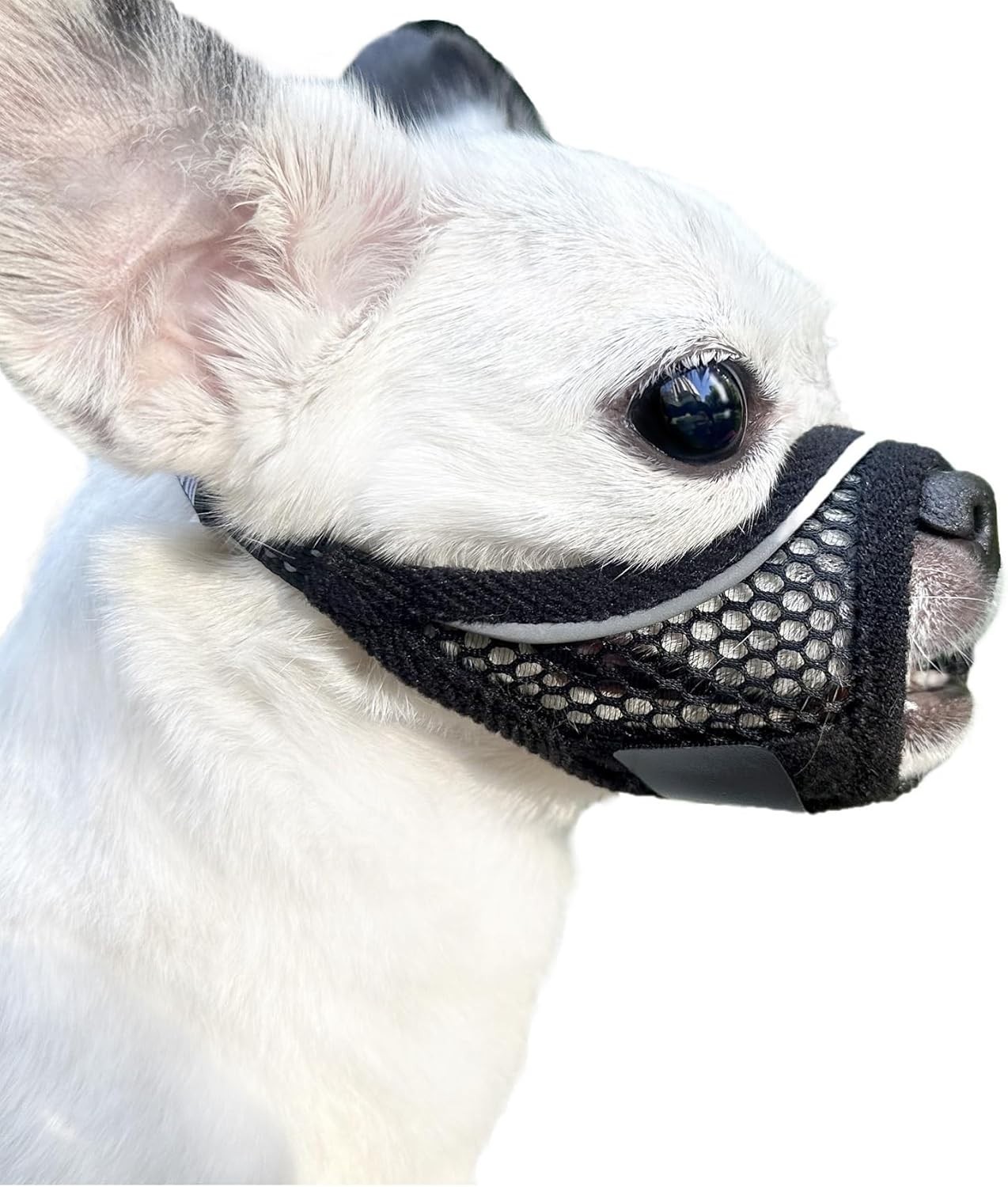 Bozal para perros extra pequeños, antimordeduras y masticación.