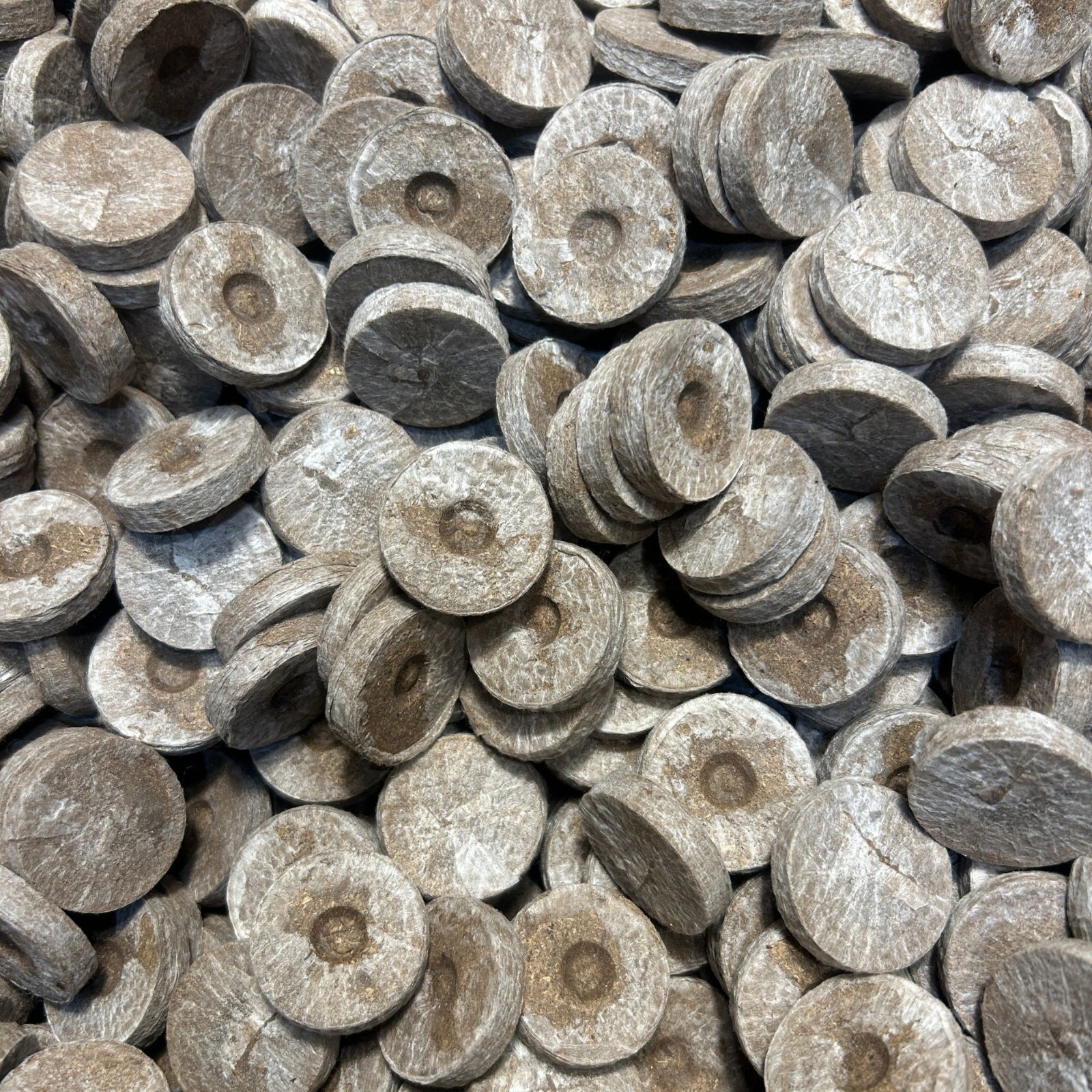 Jiffy Peat Pellets 36mm Seed Starting Plugs | Choose Quantity