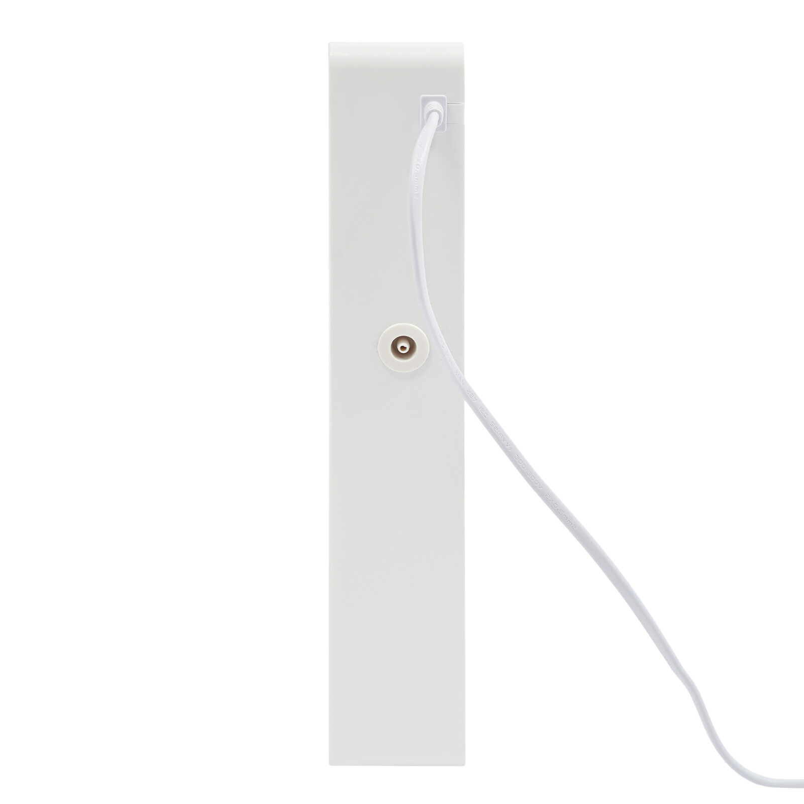 Vegetable Ozone Sterilizer Ozone Machine Purify Fruits and Vegetables 600mg_H