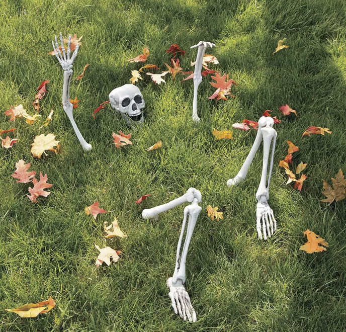 5ft Life Size Skeleton Halloween Decoration Plastic Human Bones Outdoor Yard