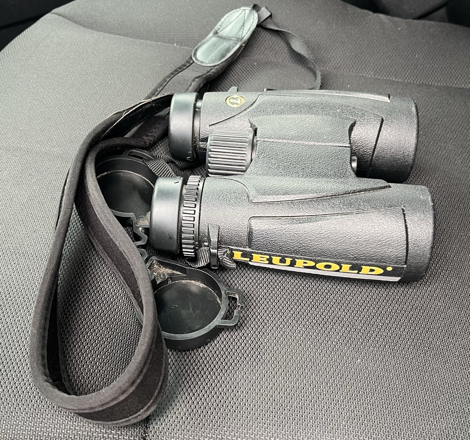 Leupold BX-1 McKenzie 10x42mm Waterproof Binoculars