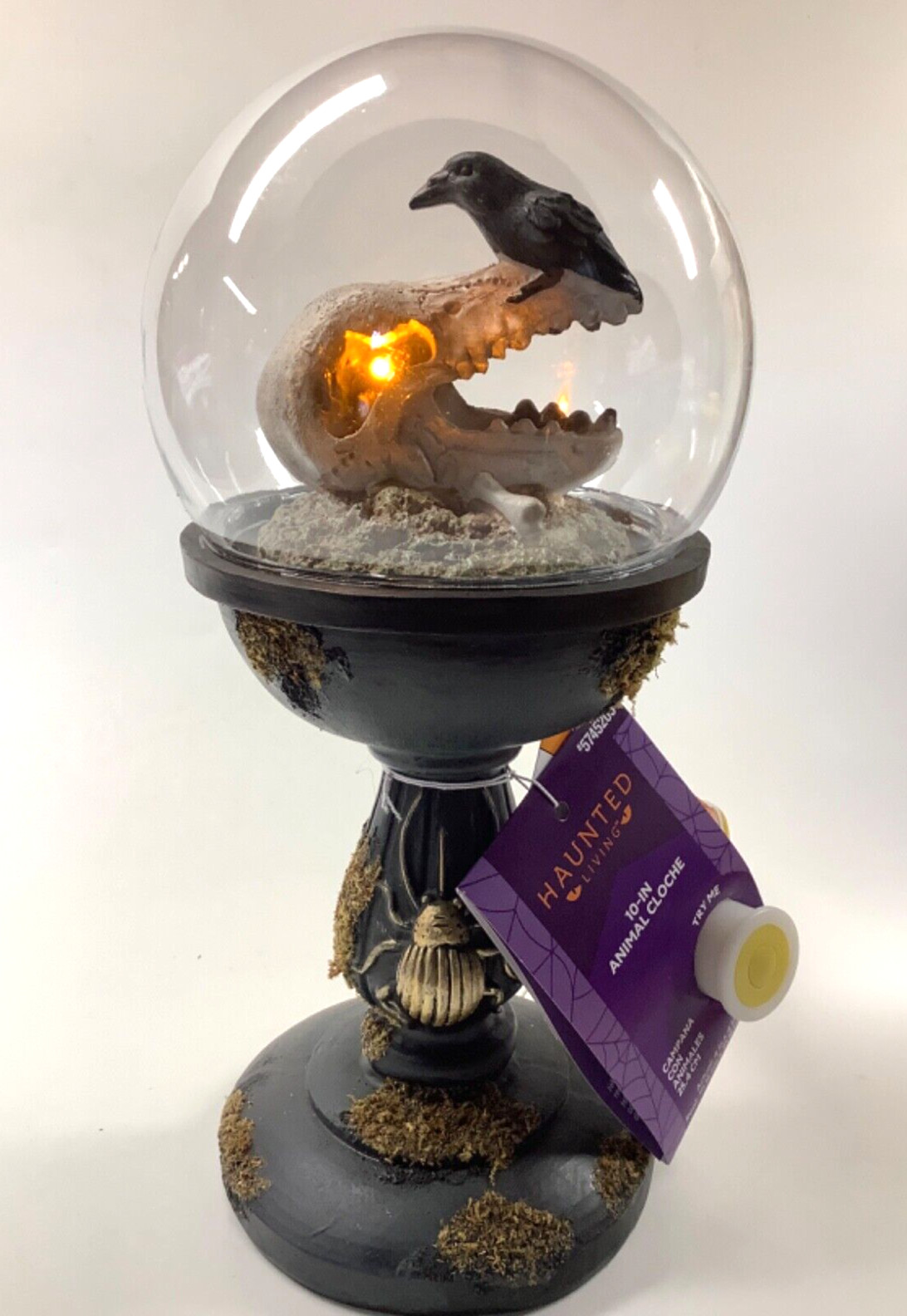 Haunted Living 10" LED Skull & Raven in Cloche Moss Halloween Gothic Decoration