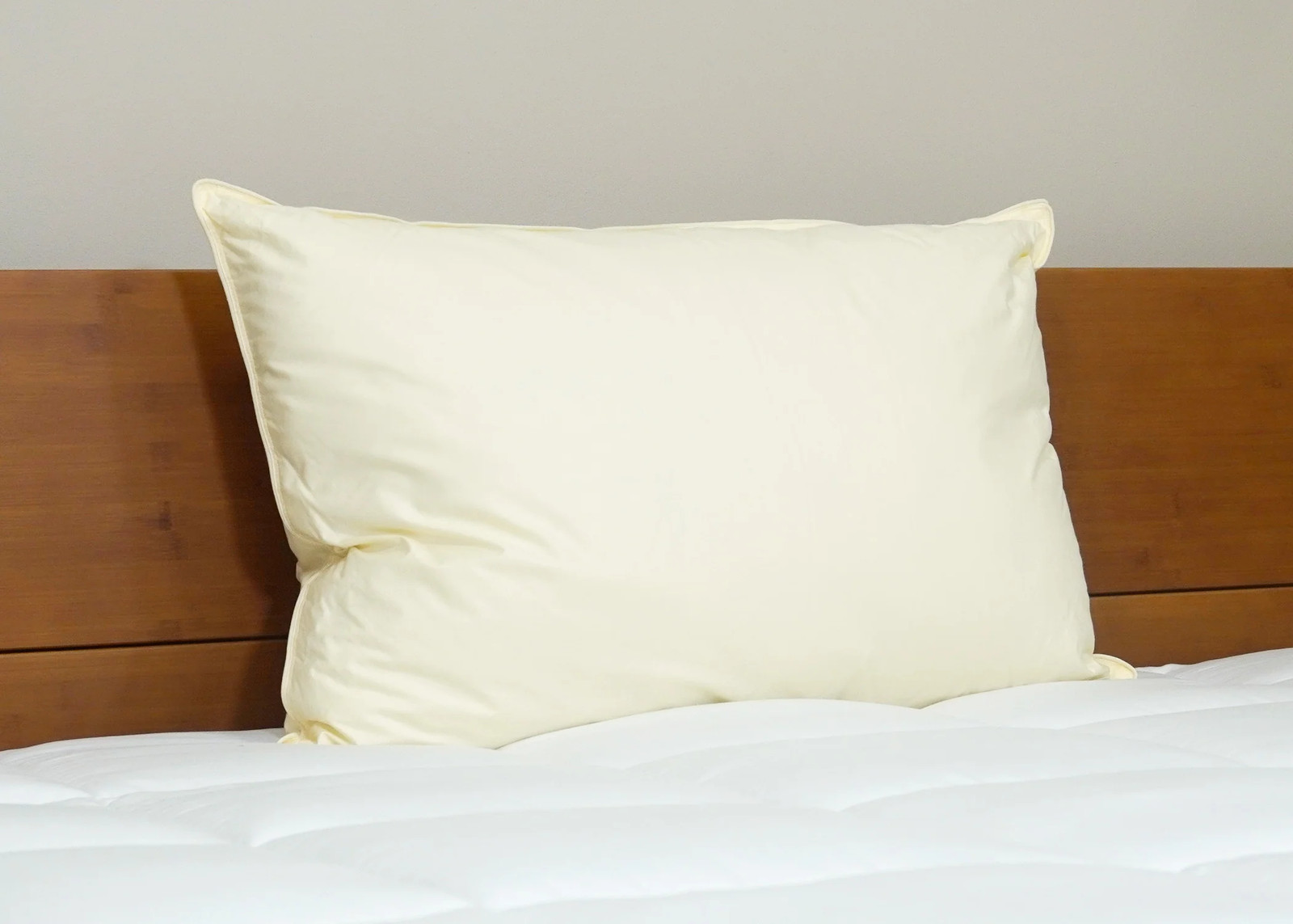 Down Etc. Aquaplush Pillow