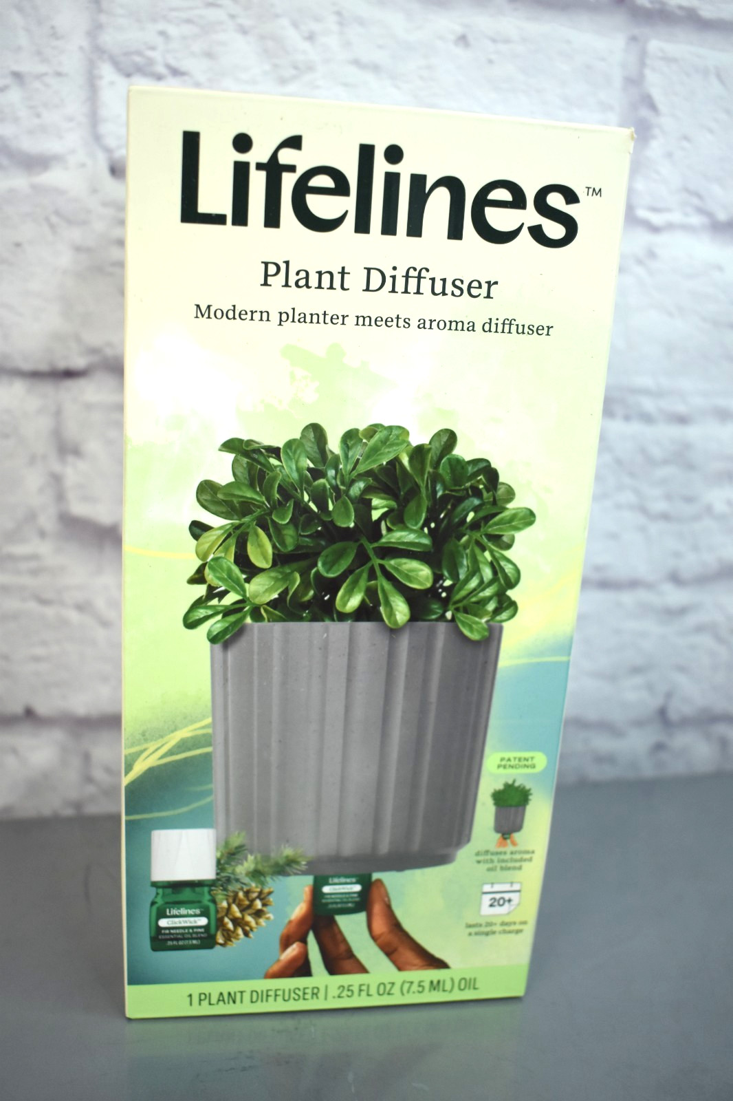 Lifelines Plant Diffuser Boxwood - Gray NEW