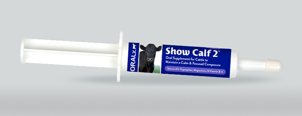 Oralx Show Calf 2 Paste 34 gm