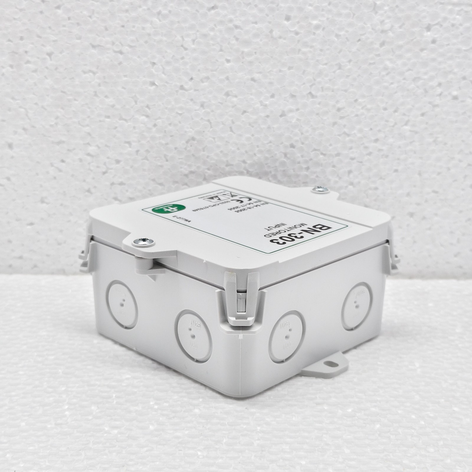 AUTRONICA 116-BN-303 SINGLE MONITORED INPUT UNIT