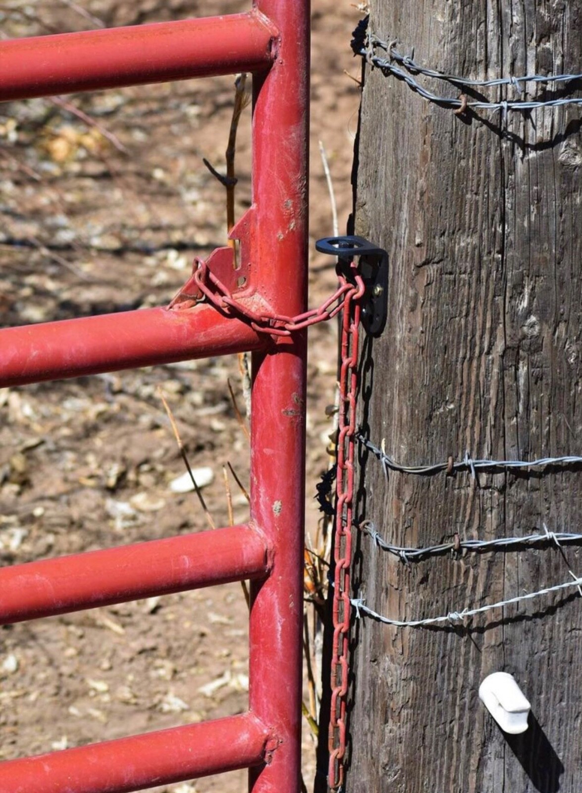 Quick & Secure Gate Chain Attachment Gray