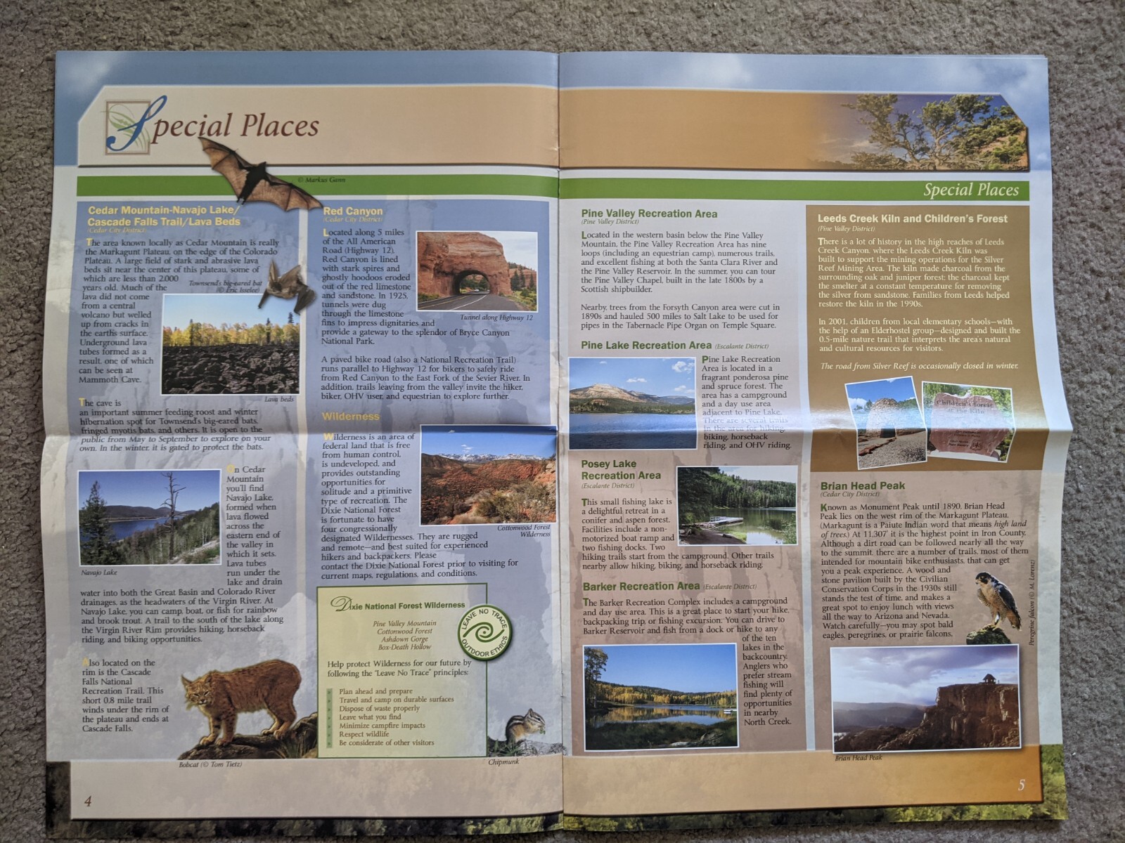 Dixie National Forest, Utah Visitor Guide, USDA 2015 EXCELLENT CONDITION