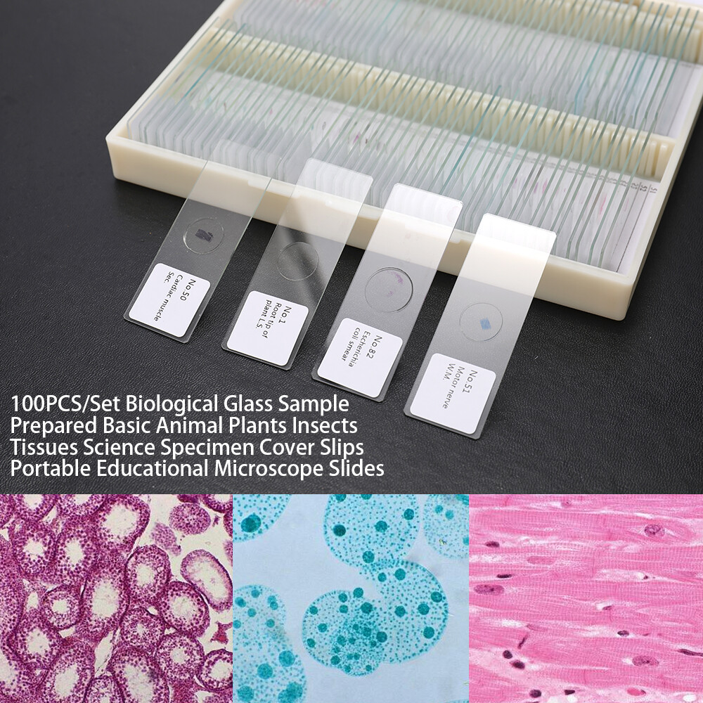 100PCS/Set Biological Glass Sample Portable Educational Microscope Slides F2X3